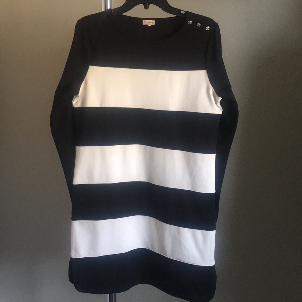 Cremieux Long Sleeve Dress